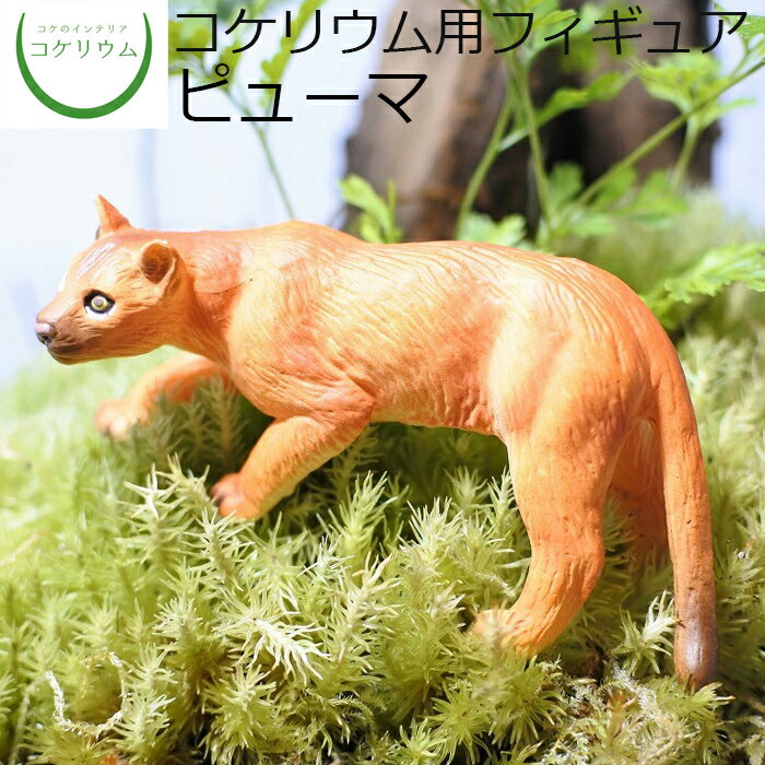 樂天商城 - 【観葉植物 おしゃれ ミニ テラリウム フィギュア ミニ観葉 コケリウム 苔 コケ 苔テラリウム 苔リウム アクアリウム アクアテラリウム 園芸 ハイドロカルチャー ガーデニング グリーン インテリア 緑 苔盆栽 癒し moss 初心者】 コケリウムフィギュア ピューマ