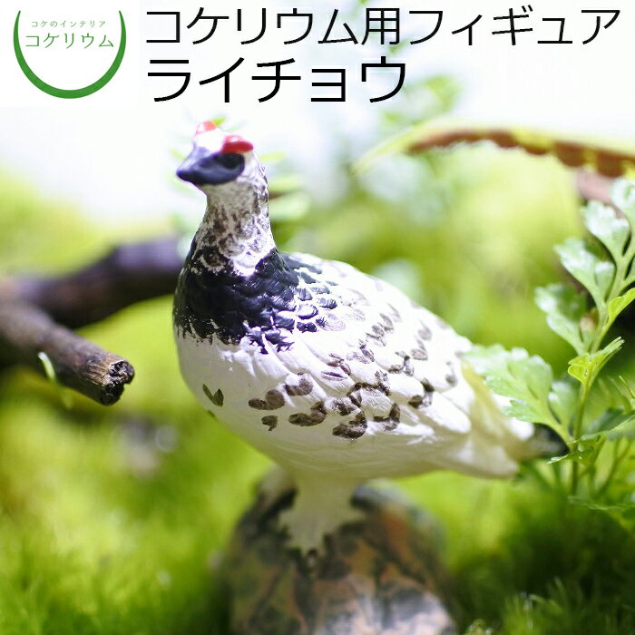 【観葉植物 おしゃれ ミニ テラリウム フィギュア ミニ観葉 コケリウム 苔 コケ 苔テラリウム 苔リウム..