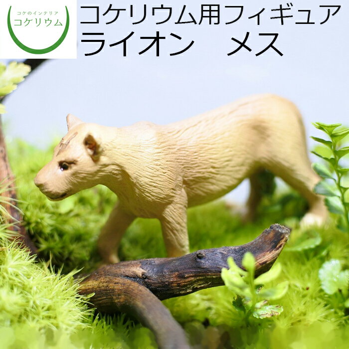 【観葉植物 おしゃれ ミニ テラリウム フィギュア ミニ観葉 コケリウム 苔 コケ 苔テラリウム 苔リウム アクアリウム アクアテラリウム 園芸 ハイドロカルチャー ガーデニング グリーン インテリア 緑 苔盆栽 癒し moss 初心者】 コケリウムフィギュア ライオン メス