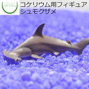  コケリウムフィギュア シュモクザメ