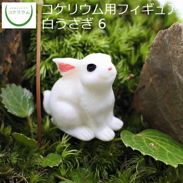 【観葉植物 おしゃれ ミニ テラリウム フィギュア ミニ観葉 コケリウム 苔 コケ 苔テラリウム 苔リウム アクアリウム アクアテラリウム 園芸 ハイドロカルチャー ガーデニング グリーン インテリア 緑 苔盆栽 癒し moss 初心者】 コケリウムフィギュア 白うさぎ 6