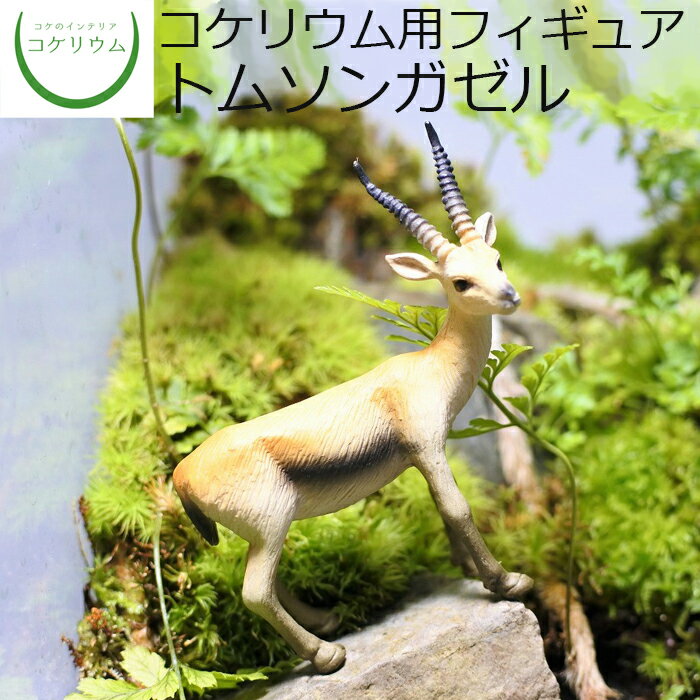 【観葉植物 おしゃれ ミニ テラリウム フィギュア ミニ観葉 コケリウム 苔 コケ 苔テラリウム 苔リウム アクアリウム アクアテラリウム 園芸 ハイドロカルチャー ガーデニング グリーン インテリア 緑 苔盆栽 癒し moss 初心者】 コケリウムフィギュア トムソンガゼル