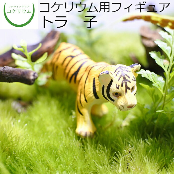 【観葉植物 おしゃれ ミニ テラリウム フィギュア ミニ観葉 コケリウム 苔 コケ 苔テラリウム 苔リウム..