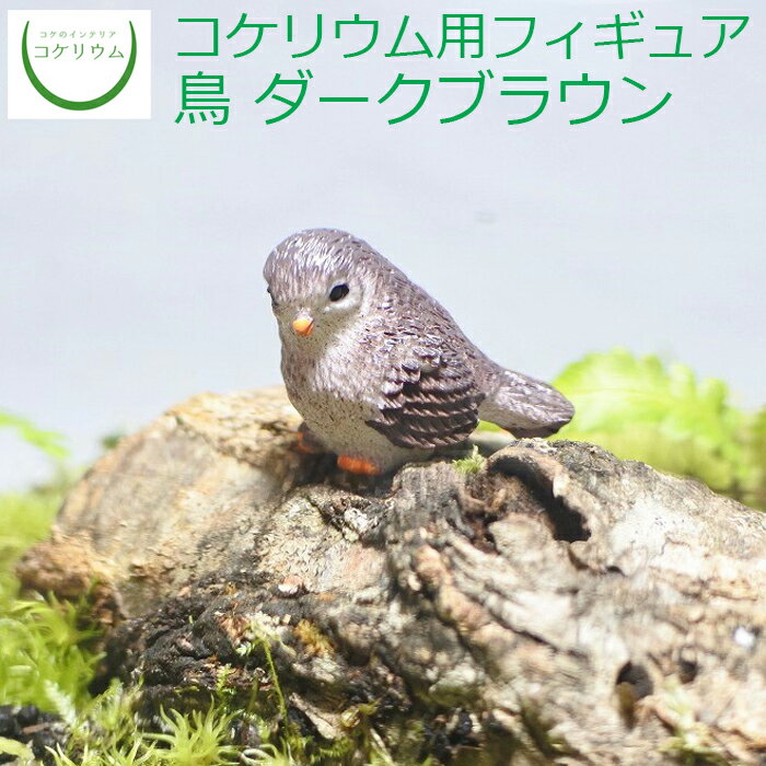 【観葉植物 おしゃれ ミニ テラリウ