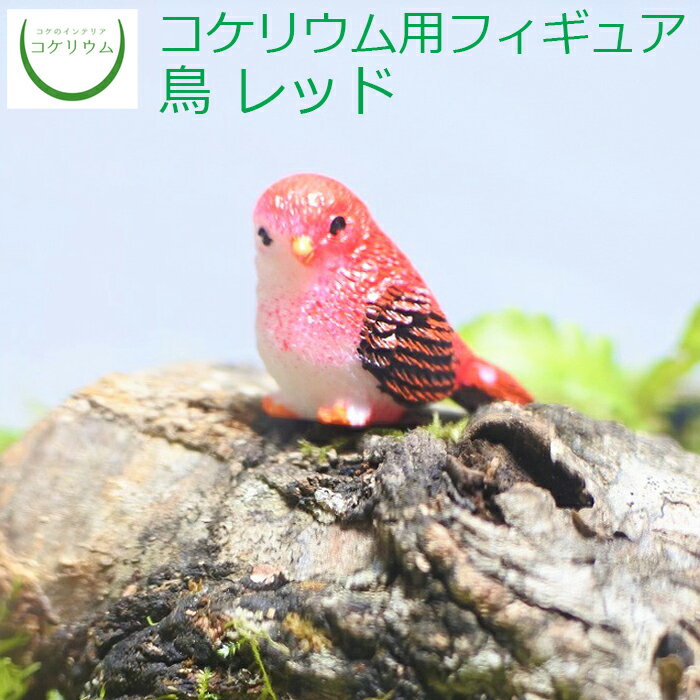 【観葉植物 おしゃれ ミニ テラリウ