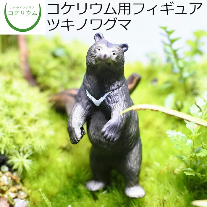 【観葉植物 おしゃれ ミニ テラリウム フィギュア ミニ観葉 コケリウム 苔 コケ 苔テラリウム 苔リウム アクアリウム アクアテラリウム 園芸 ハイドロカルチャー ガーデニング グリーン インテリア 緑 苔盆栽 癒し moss 初心者】 コケリウムフィギュア ツキノワグマ