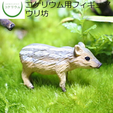 【観葉植物 おしゃれ ミニ テラリウム フィギュア ミニ観葉 コケリウム 苔 コケ 苔テラリウム 苔リウム アクアリウム アクアテラリウム 園芸 ハイドロカルチャー ガーデニング グリーン インテリア 緑 苔盆栽 癒し moss 初心者】 コケリウムフィギュア ウリ坊