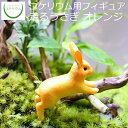 【観葉植物 おしゃれ ミニ テラリウム フィギュア ミニ観葉 コケリウム 苔 コケ 苔テラリウム 苔リウム アクアリウム アクアテラリウム 園芸 ハイドロカルチャー ガーデニング グリーン インテリア 緑 苔盆栽 癒し moss 初心者】 コケリウムフィギュア 走るうさぎ オレンジ