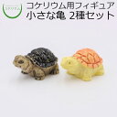 【観葉植物 おしゃれ ミニ テラリウム フィギュア ミニ観葉 コケリウム 苔 コケ 苔テラリウム 苔リウム アクアリウム アクアテラリウム 園芸 ハイドロカルチャー ガーデニング グリーン インテリア 緑 苔盆栽 癒し セット 初心者】 コケリウムフィギュアセット 亀2種