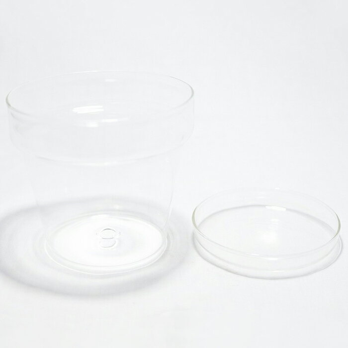 �ڥƥ�ꥦ�� ���饹�ƴ� �����ꥦ�� �� ���� �ݥƥ�ꥦ�� �ݥꥦ�� ���饹ȭ ȭ���� ȭ �ݥå� ���� ���տ�ʪ ��� �ϥ��ɥ�������㡼 �����ǥ˥� ���꡼�� ����ƥꥢ �� ���ߺ� ���� moss �鿴�ԡ� �����ꥦ�६�饹�ƴ� ���饹�ݥå�