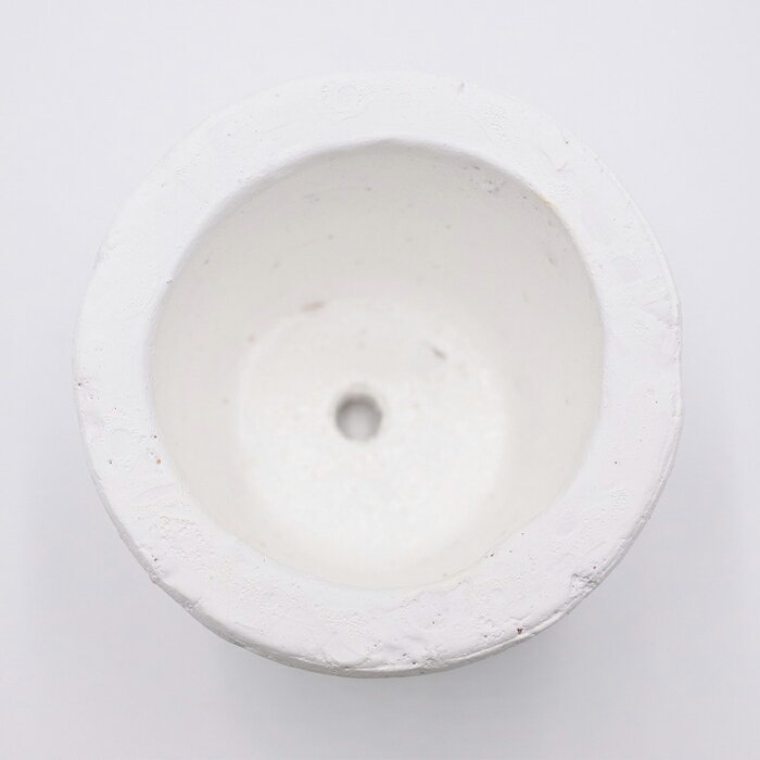 �ڥƥ�ꥦ�� ȭ ȭ���� ȭʪ ���ߺ� �� �����ꥦ�� �� ���� �ݥƥ�ꥦ�� �ݥꥦ�� ������ʪ ���տ�ʪ ��� �ϥ��ɥ�������㡼 �����ǥ˥� ���꡼�� ����ƥꥢ �� ������̣ �鿴�ԡ� �����ꥦ��ȭ�����ƴ� �ڥ���ȥݥå� �ۥ磻��