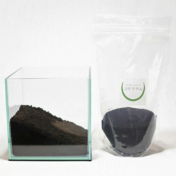 ������̵�� ���տ�ʪ ������� �ߥ� �ƥ�ꥦ�� ���å� �����ꥦ�� �� ���� �ݥƥ�ꥦ�� �ݥꥦ�� �������ꥦ�� �������ƥ�ꥦ�� ��� �ϥ��ɥ�������㡼 �����ǥ˥� ���꡼�� ����ƥꥢ �� ���ߺ� ���� moss �鿴�� �ѥå� ���åȡ� �����ꥦ�७�å� �ݤ�ƻ