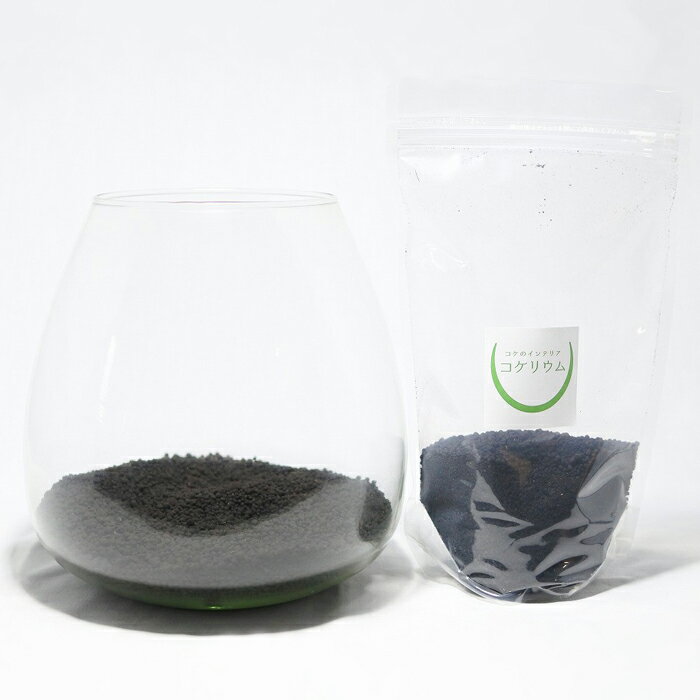 ������̵�� ���տ�ʪ ������� �ߥ� �ƥ�ꥦ�� ���å� �����ꥦ�� �� ���� �ݥƥ�ꥦ�� �ݥꥦ�� �������ꥦ�� �������ƥ�ꥦ�� ��� �ϥ��ɥ�������㡼 �����ǥ˥� ���꡼�� ����ƥꥢ �� ���ߺ� ���� moss �鿴�� �ѥå� ���åȡ� �����ꥦ�७�å� ����ƶ��