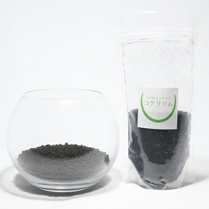 ������̵�� ���տ�ʪ ������� �ߥ� �ƥ�ꥦ�� ���å� �����ꥦ�� �� ���� �ݥƥ�ꥦ�� �ݥꥦ�� �������ꥦ�� �������ƥ�ꥦ�� ��� �ϥ��ɥ�������㡼 �����ǥ˥� ���꡼�� ����ƥꥢ �� ���ߺ� ���� moss �鿴�� �ѥå� ���åȡ� �����ꥦ�७�å� ����ƶ�� �ߥ�