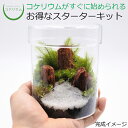 【送料無料 観葉植物 おしゃれ ミニ テラリウム キット コケリウム 苔 コケ 苔テラリウム 苔リウム 園芸 ハイドロカルチャー ガーデニング グリーン インテ...