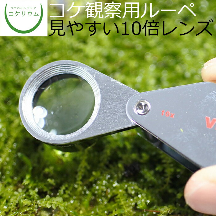 【テラリウム コケリウム ルーペ 顕微鏡 観察 ハイキング 山 散策 苔 コケ 苔テラリウム 苔リウム アク..