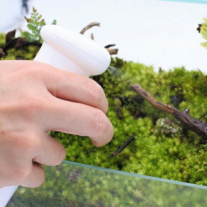 �ڥƥ�ꥦ�� �����ꥦ�� �� ���� �ݥƥ�ꥦ�� �ݥꥦ�� �������ꥦ�� �������ƥ�ꥦ�� ���տ�ʪ ��� �ϥ��ɥ�������㡼 �����ǥ˥� ���꡼�� ����ƥꥢ �� ���ߺ� ���� moss �鿴�ԡ� �����ꥦ��̸�᤭ �ޥ��������ץ졼 �ۥ磻��