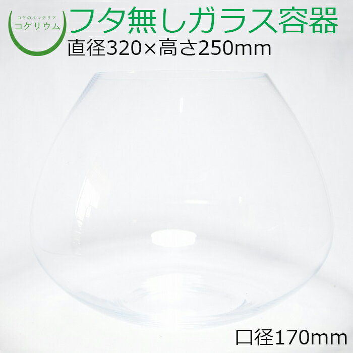 素材：ガラス容器 サイズ(約)：直径320×高さ250mm　口径170mm その他商品説明： ※手造り品のため、ガラス内に小さな気泡が入っている場合や、同じ商品でも容器の厚みや重量に若干の差がございますので予めご了承ください。ヨーロッパ生まれの下部がふっくらと広がった高級感のあるガラス容器です。