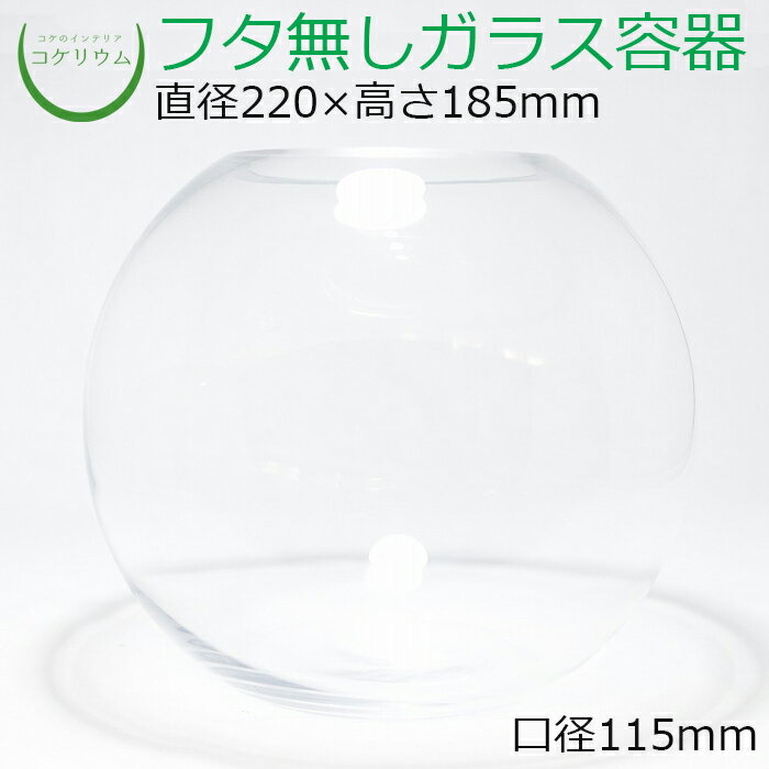 素材：ガラス容器 サイズ(約)：直径220×高さ185mm　口径115mm その他商品説明： ※手造り品のため、ガラス内に小さな気泡が入っている場合や、同じ商品でも容器の厚みや重量に若干の差がございますので予めご了承ください。真ん丸な球体をしたガラス容器です。 様々なレイアウトに合う万能タイプです。