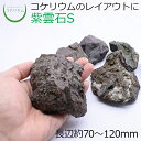 【テラリウム コケリウム 苔 コケ 苔テラリウム 苔リウム アクアリウム アクアテラリウム 観葉植物 園芸 ハイドロカルチャー ガーデニング グリーン インテリ...