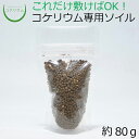 【テラリウム コケリウム 苔 コケ 苔テラリウム 苔リウム アクアリウム アクアテラリウム 観葉植物 園芸 ハイドロカルチャー ガーデニング グリーン インテリ...