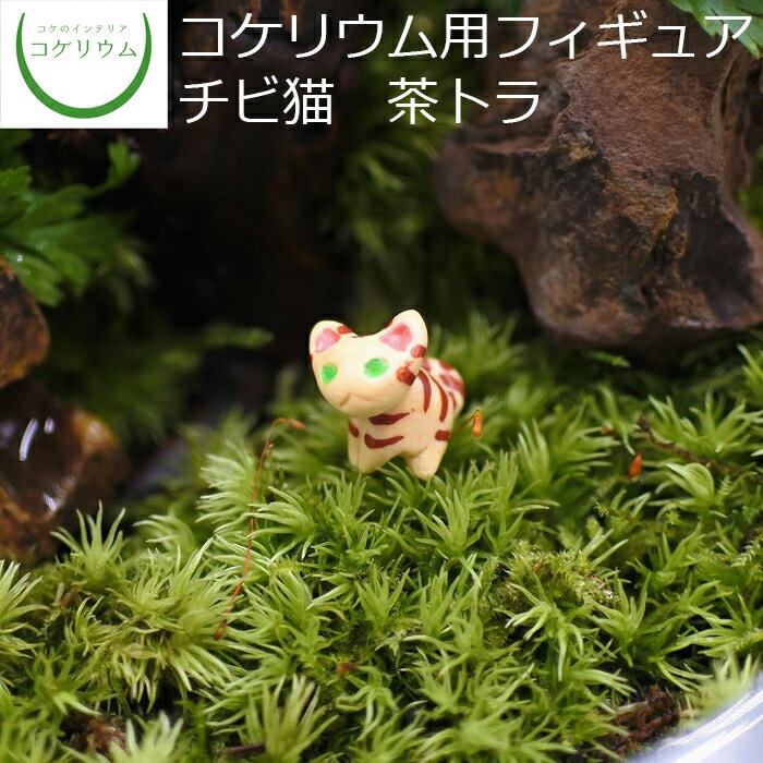 【観葉植物 おしゃれ 可愛い ミニ テラリウム フィギュア ミニ観葉 コケリウム 苔 コケ 苔テラリウム ..