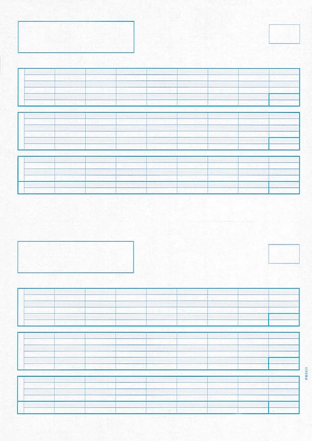 給与明細書A 500枚