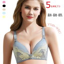\売り尽くしセール/送料無料 ナイトブラ 育乳ブラ 5色 産前 産後 授乳ブラ前開き ノンワイヤー 垂れ防ぎ レース 授乳 ブラ 授乳ブラジャー 揺れない 夜ブ...