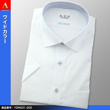 あす楽 大きいサイズ 半袖シャツ a.v.v HOMME 形態安定 半袖ドレスシャツ メンズ ビジネスシャツ 3L 4L 5L ワイシャツ クールビズ