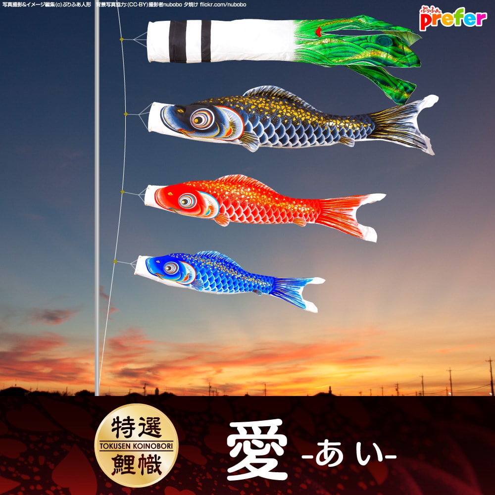ワタナベ鯉のぼり 羽衣錦鯉 | Prefer