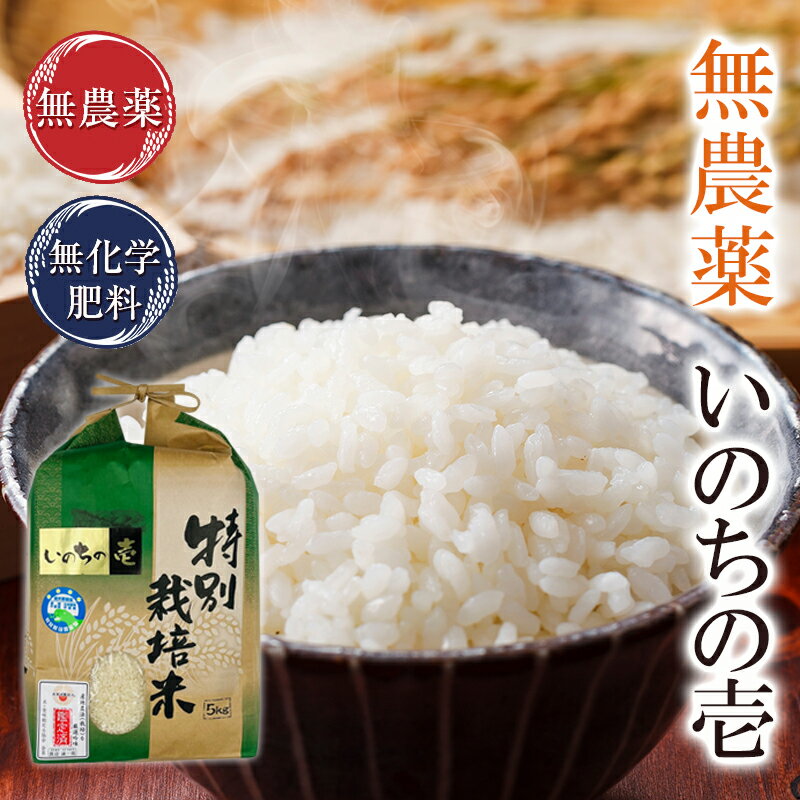 無農薬 玄米 米 5kg無農薬 いのちの壱 米粒約1.5倍令和5年福井県産限定米 送料無料無農薬・無化学肥料栽培自然農法米米・食味鑑定士認定米