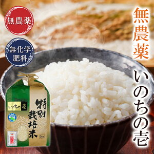 無農薬 玄米 米 2kg無農薬 いのちの壱 米粒約1.5倍令和5年福井県産限定米 送料無料無農薬・無化学肥料栽培自然農法米米・食味鑑定士認定米