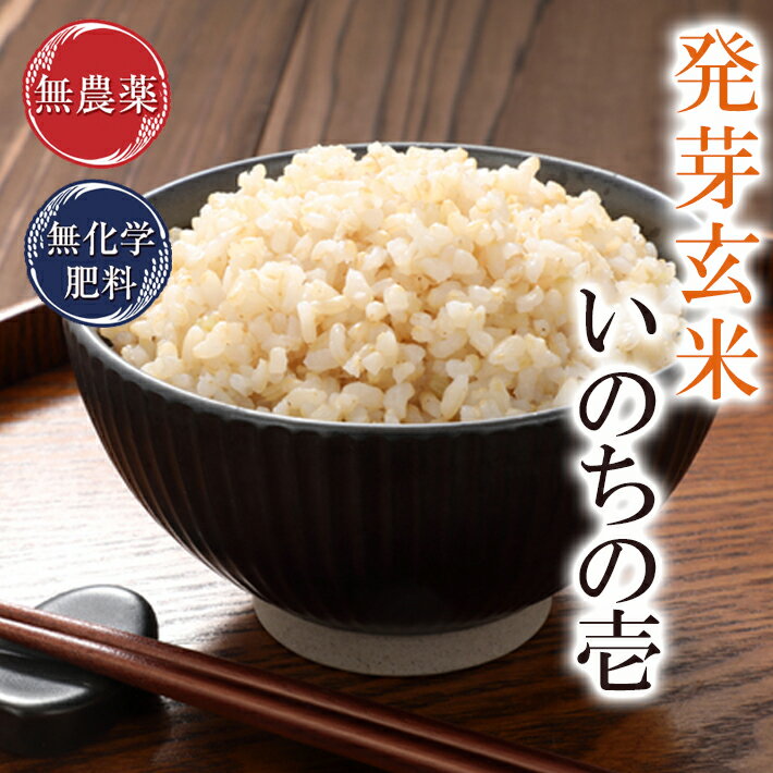 発芽玄米 無農薬 いのちの壱 5kg 無洗米無農薬・無化学肥料栽培令和7年福井県産 送料無料大粒で満足感のある発芽玄米食物繊維・ビタミンB群・GABAが豊富アブ...