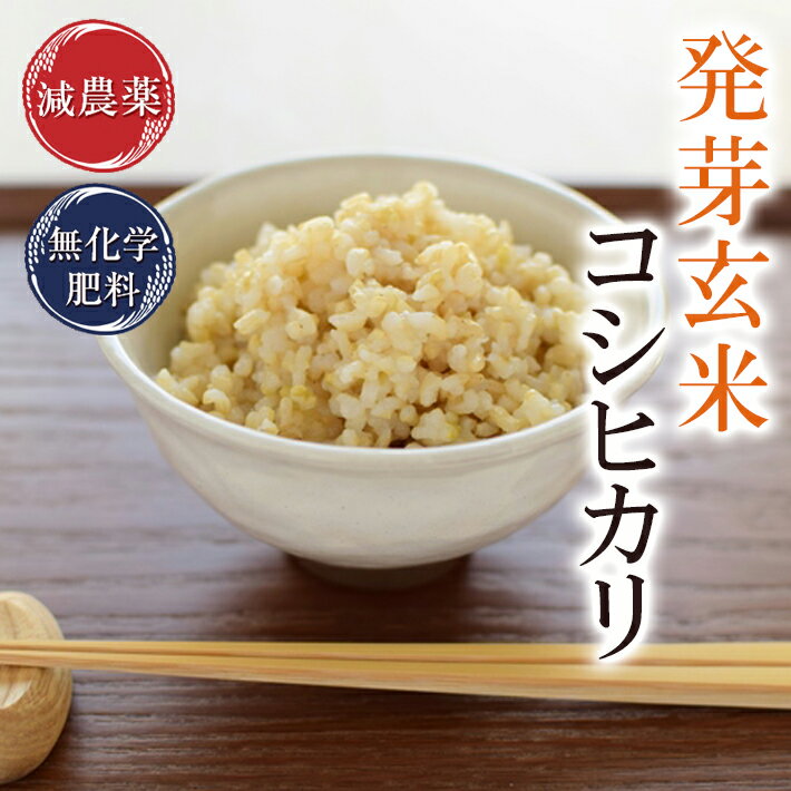 発芽玄米 コシヒカリ 3kg 無洗米もっちりで甘く豊かな旨味