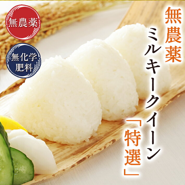 平成6年度群馬県産 低農薬栽培 精米 済み くず米20kg 平成6年度群馬県産 低農薬栽培 精米 済み くず米20kg 平成6年度