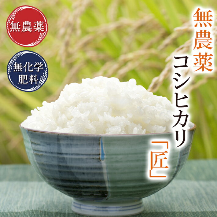 【新米入荷】無農薬 玄米 米 10kg（5kg×2袋）無農薬コシヒカリ「匠」令和5年...