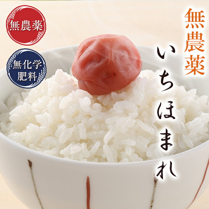 無農薬 玄米 米 5kgいちほまれ 福井県令和6年産 無農薬・無化学肥料栽培口に広がる優しい甘さ特別栽培米福井の新しいブランド米米・食味鑑定士認定米※送料無料
