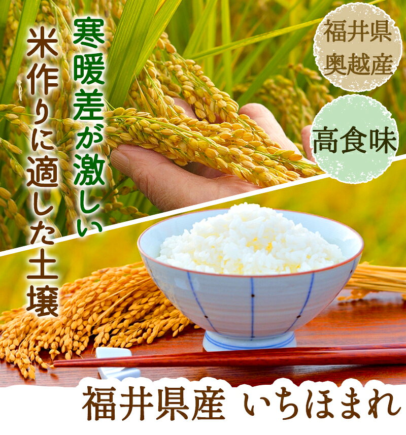 【期間限定特価中】いちほまれ 15kg(5kg×3)令和7年 福井県奥越産送料無料福井県の...