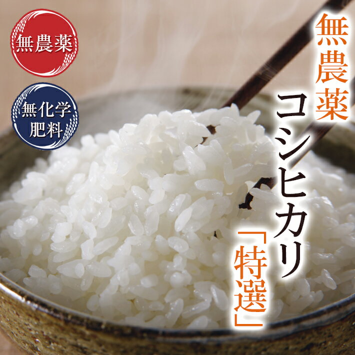 無農薬 玄米 米 10kg(5kg×2袋)無農薬コシヒカリ「