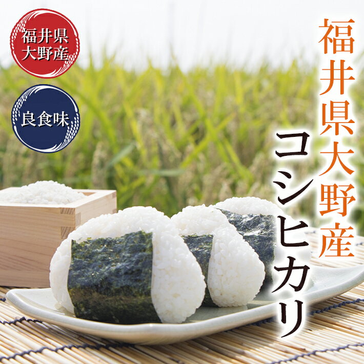 最高級コシヒカリ 15kg(5kg×3袋) 令和5年福井県大野産限定米 送料無料 検査一等米※米食味鑑定士鑑定済のサムネイル