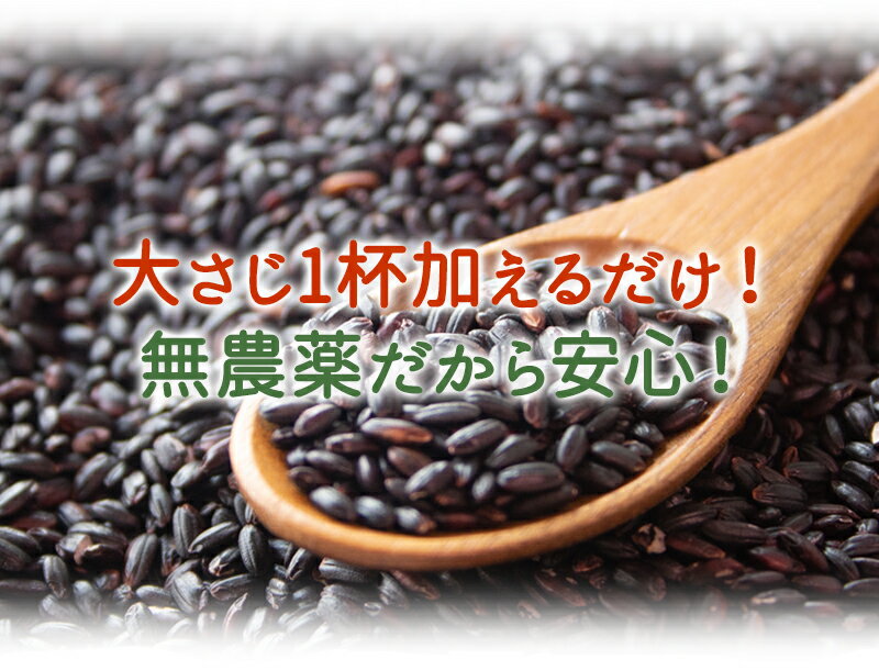 有機黒米（国内産）200g【2袋までメール便可】