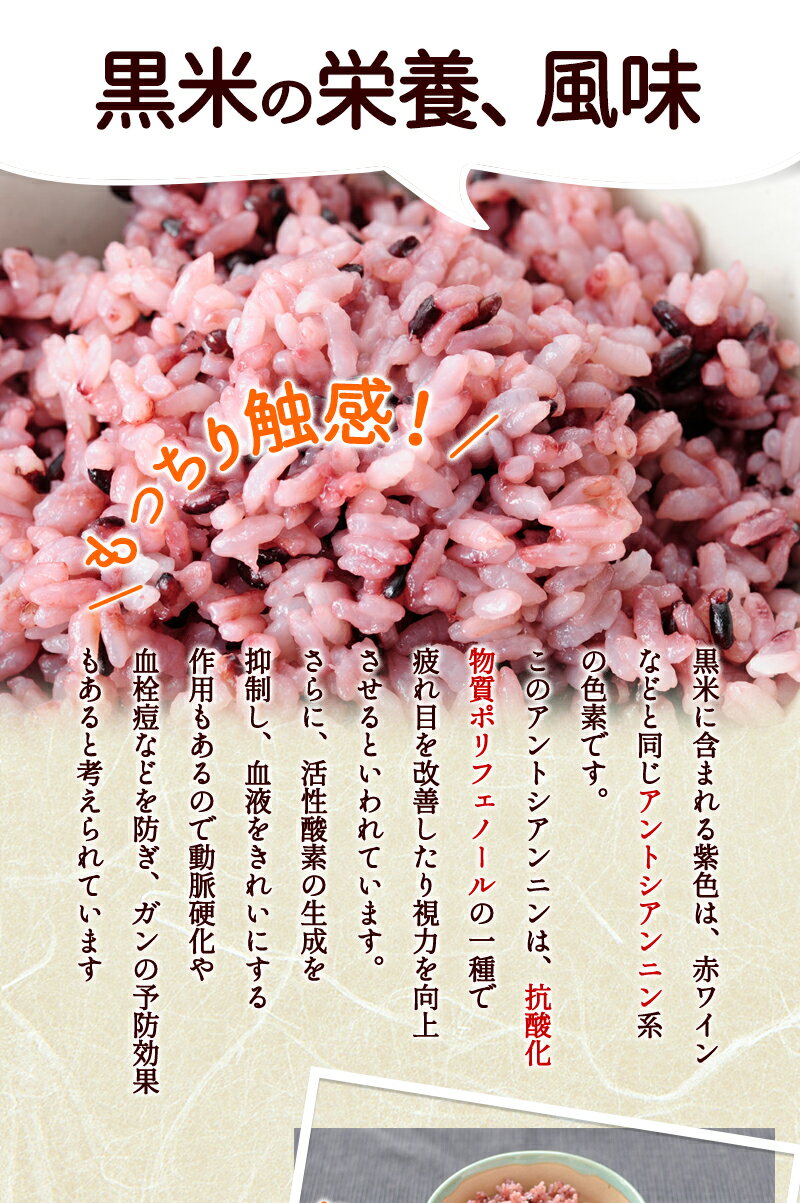 ͭ�����ơʹ��⻺��200g��2�ޤޤǥ᡼���زġ�