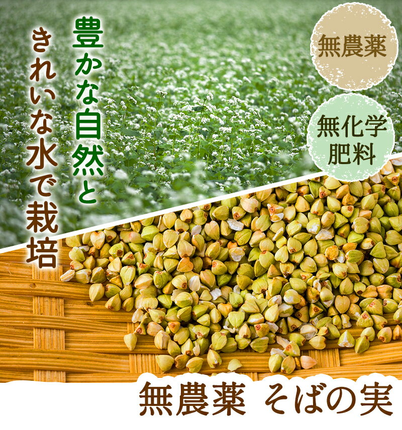 丸抜きそばの実 無農薬・無化学肥料栽培 福井県産 500g入　【1袋までネコポス便可】