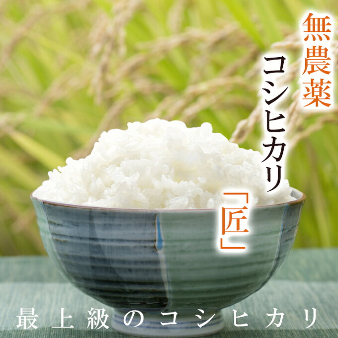 無農薬 玄米 米 3kg無農薬コシヒカリ「匠」令和4年福井県産限定米 送料無料無農薬...