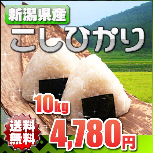 コシヒカリ 10kg 【送料無料】平成25年 新潟県産 一等米 おいしいお米 玄米対応 精米無料 ※玄米ご...