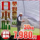 米人契約農家 植竹さんのお米は 『放射性物質不検出』の安心米です♪【送料無料】23年埼玉幸手産植竹さんの日本晴 玄米 30kgご注意★玄米希望の場合は、必ずプルダウンより選択してください↓【2sp_120405_b】