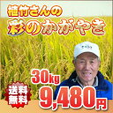 米人契約農家 植竹さんのお米は 『放射性物質不検出』の安心米です♪【送料無料】23年埼玉幸手産植竹さんの彩のかがやき 玄米 30kgご注意★玄米希望の場合は、必ずプルダウンより選択してください↓【2sp_120405_b】