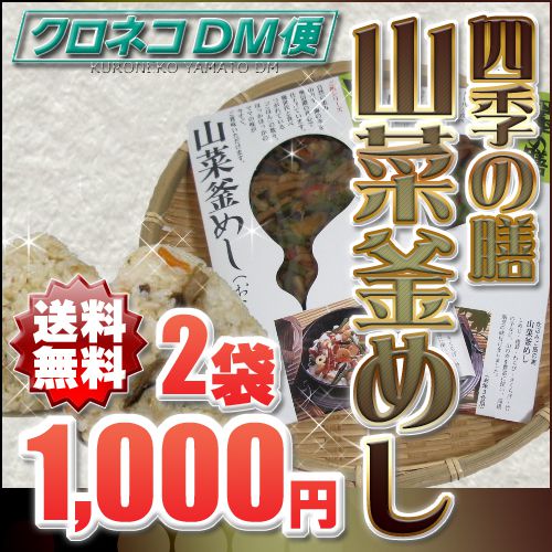 【送料無料 1000円 ポッキリ 】 奥信濃 味麓庵「四季の膳」山菜釜めし(おこわ)160g×2袋