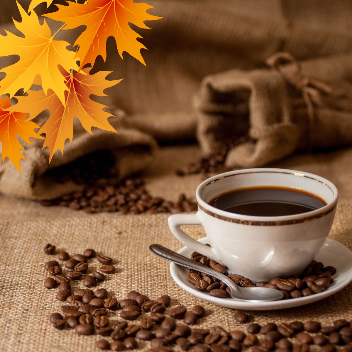 【お買い物マラソンポイント2倍】深煎り 秋の珈琲豆セット 200g × 2種類 40杯分 香ばしい香り 濃厚な味わい マンデリン ビンタンリマ ケニア マサイ AA【コンビニ受取対応商品】コーヒー豆セット ギフト シングルオリジン ハロウィン