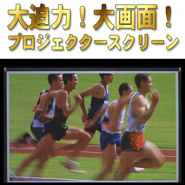 プロジェクター スクリーン ホームシアターに最適 幅80cm〜120cm×丈121〜160cm迄 オーダーサイズ